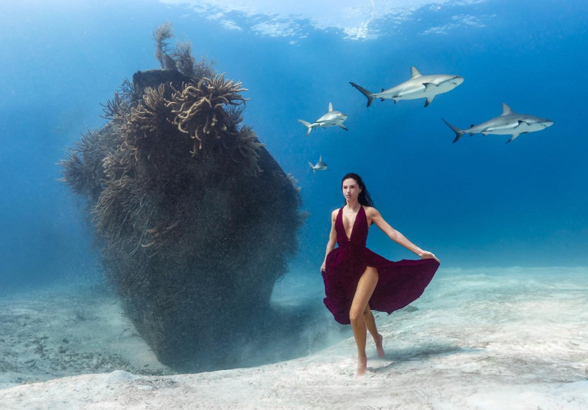 ia Oyarzun (Photographer), Stephen Nixon (Captain and Safety Diver), both Bahamian and from the dive charter company Made in Water, along with Kim Bruneau (a model from Canada) and Eduardo Pantoja (Trained Witness from Australia) 