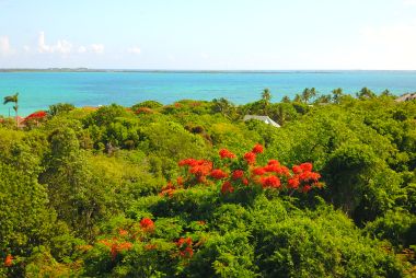 Winton Highway Hilltop Lot, Nassau Bahamas