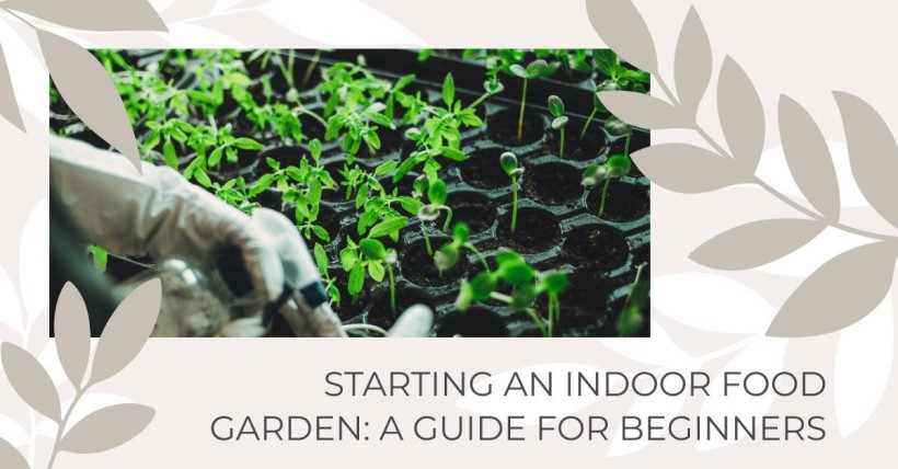 Starting an Indoor Food Garden: A Guide for Beginners