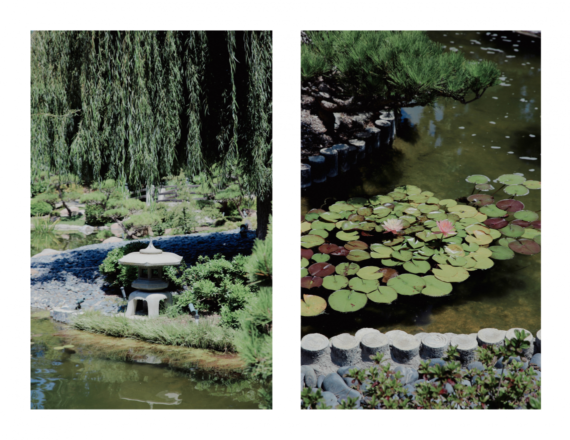 Long Beach Landmark: Earl Burns Miller Japanese Garden