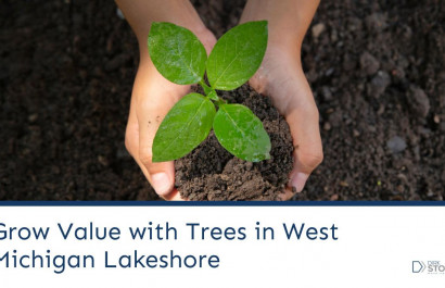 Grow Value with Trees in West Michigan Lakeshore