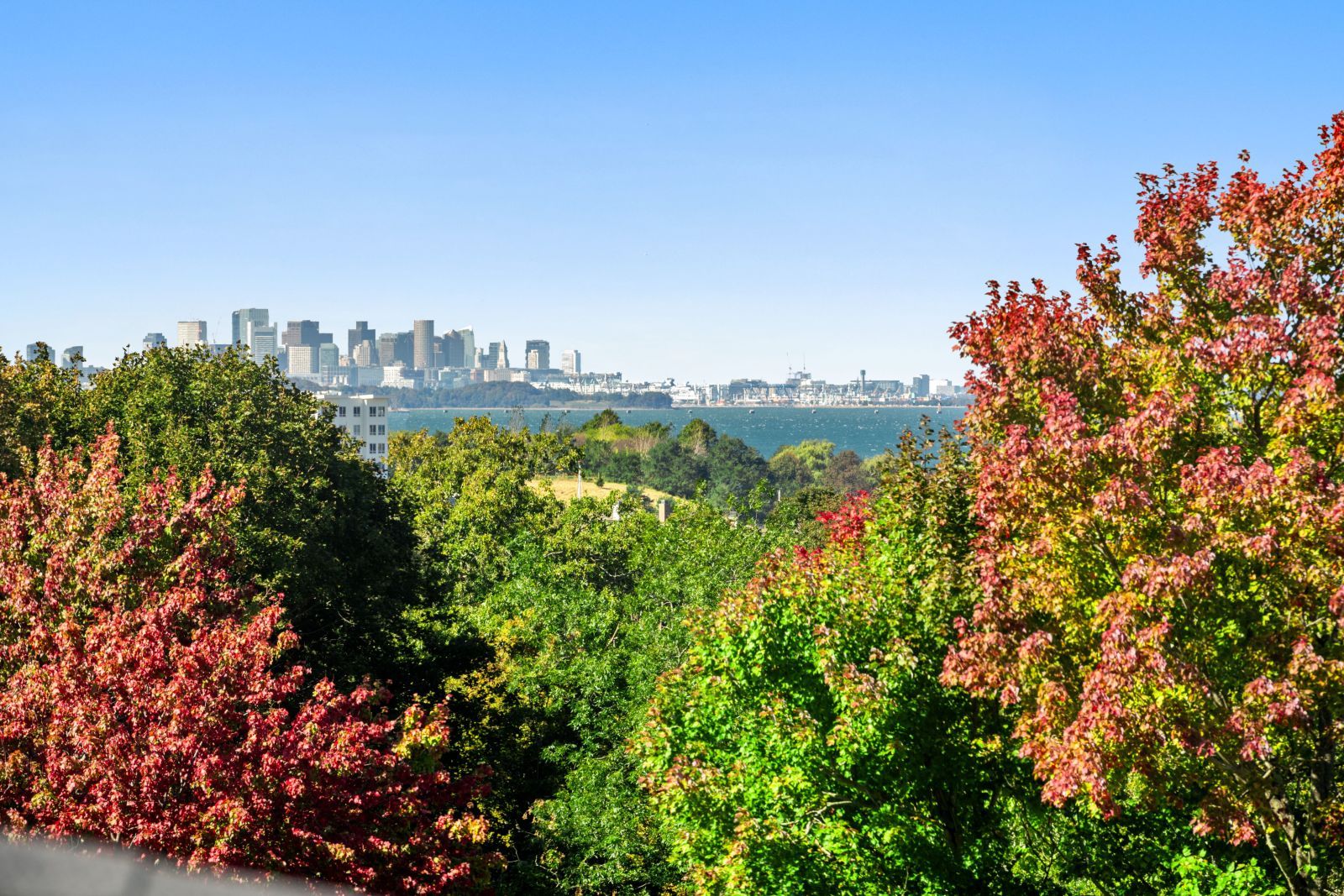 Boston Condo Market Report - November 2023 | Charles King Group