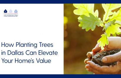 How Planting Trees in Dallas Can Elevate Your Home’s Value