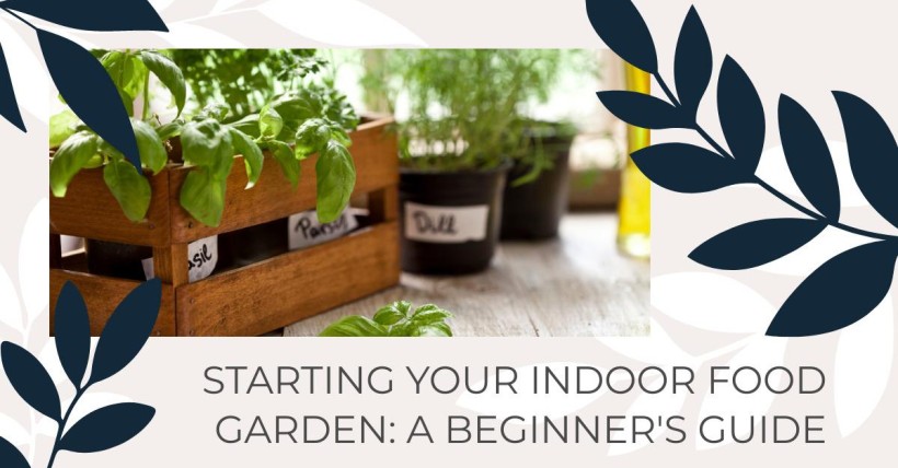 Starting Your Indoor Food Garden: A Beginner's Guide