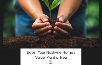 Boost Your Nashville Home's Value: Plant a Tree