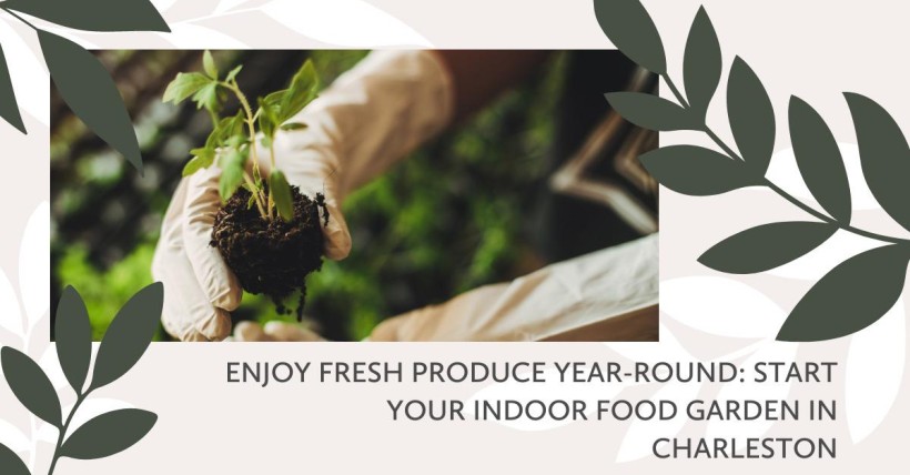 Enjoy Fresh Produce Year-Round: Start Your Indoor Food Garden in Charleston