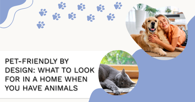 Pet-Friendly by Design: What to Look for in a Home When You Have Animals