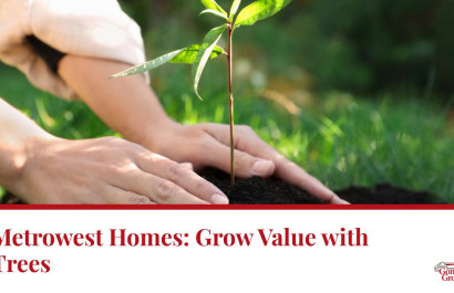 Metrowest Homes: Grow Value with Trees
