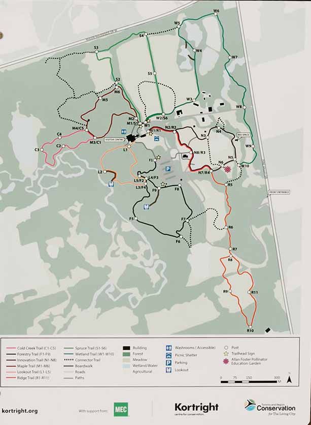 Scenic Trails Galore: Unveiling Spectacular Hiking Havens Near Toronto