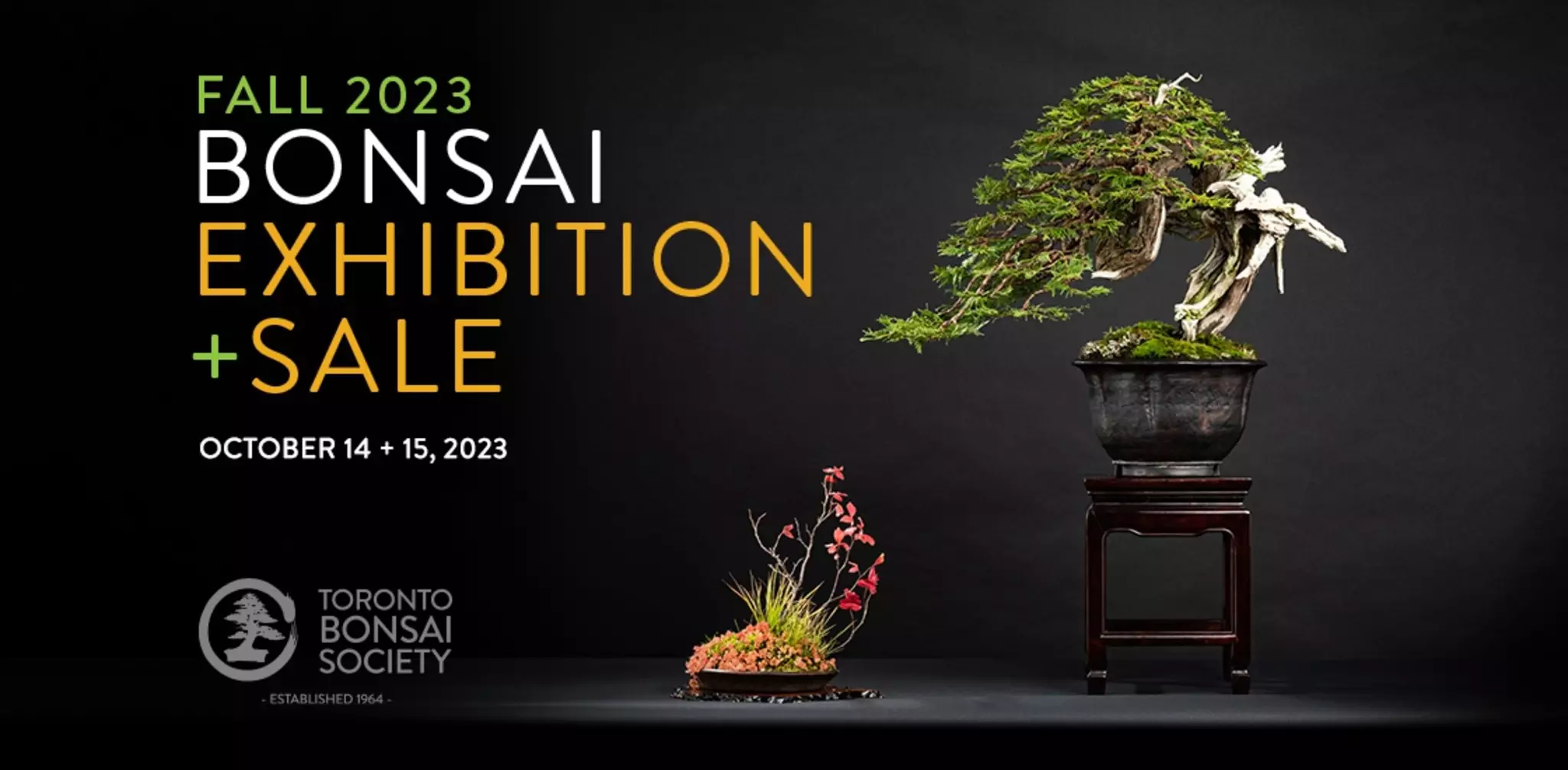 Fall 2023 Bonsai Exhibition & Sale