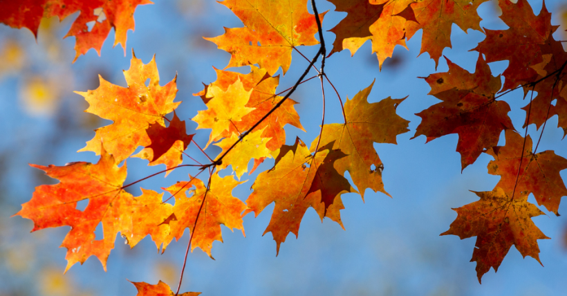 How Fall Weather Affects the Housing Market