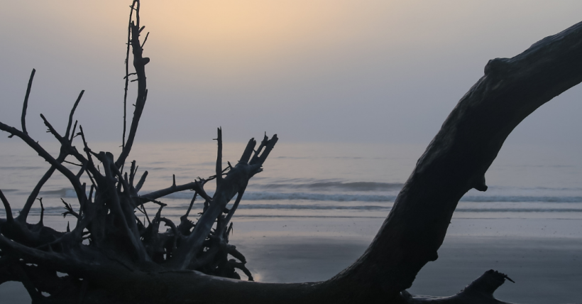 Best Sunrise & Sunset Spots Around the Lowcountry