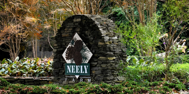 Neely Farm Simpsonville SC | A Neighborhood Worth Knowing