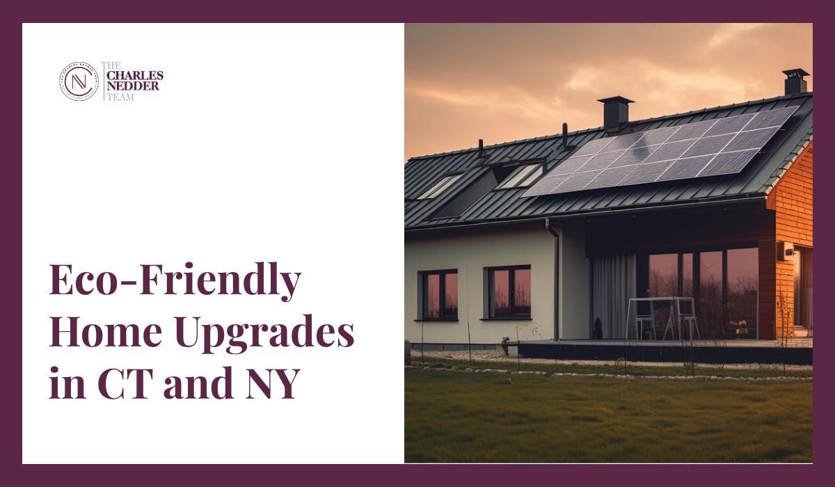 Michael Kadoe Launches Personal Pledge for Sustainable Urban Living - Urban Eco Friendly Home Upgrades