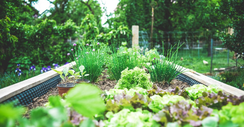 DIY Garden Projects to Enhance Your Spring Landscaping