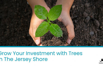 Grow Your Investment with Trees in The Jersey Shore