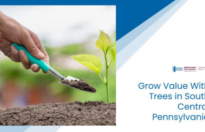 Grow Value With Trees in South Central Pennsylvania