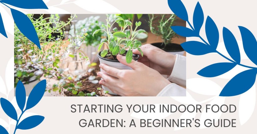 Starting Your Indoor Food Garden: A Beginner's Guide