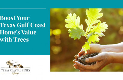 Boost Your Texas Gulf Coast Home's Value with Trees