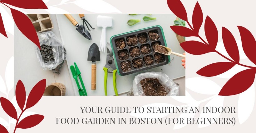 Your Guide to Starting an Indoor Food Garden in Boston (for Beginners)