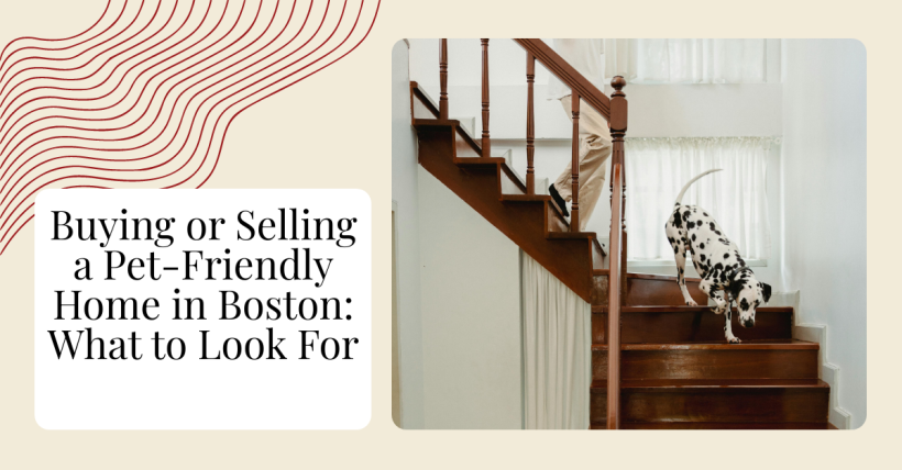 Buying or Selling a Pet-Friendly Home in Boston: What to Look For