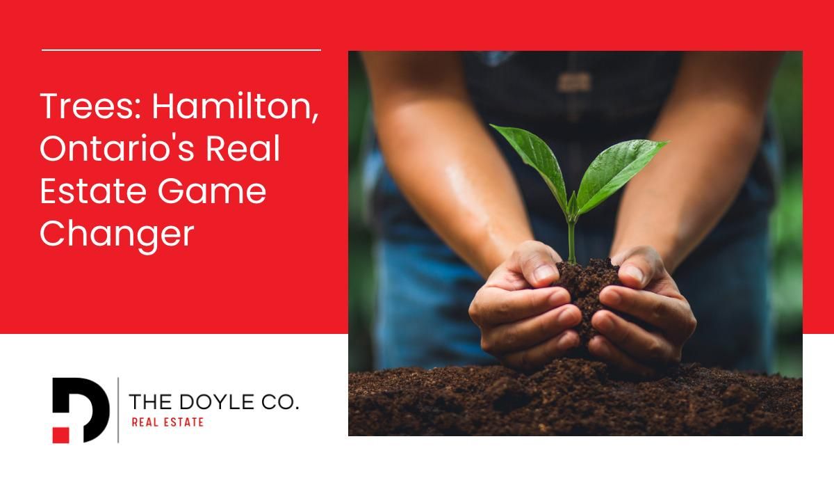 Trees Hamilton, Ontario's Real Estate Game Changer