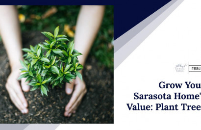 Grow Your Sarasota Home's Value: Plant Trees
