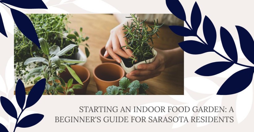 Starting an Indoor Food Garden: A Beginner's Guide for Sarasota Residents