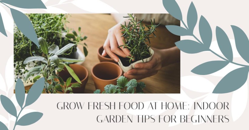 Grow Fresh Food at Home: Indoor Garden Tips for Beginners