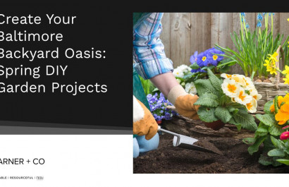 Create Your Baltimore Backyard Oasis: Spring DIY Garden Projects