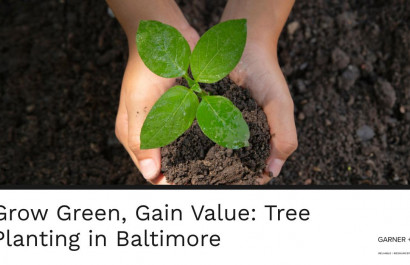 Grow Green, Gain Value: Tree Planting in Baltimore