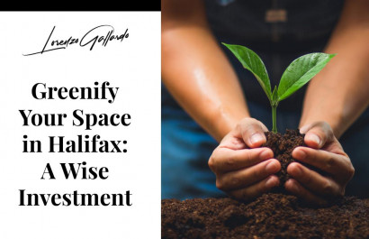 Greenify Your Space in Halifax: A Wise Investment