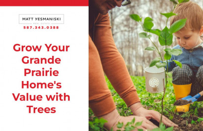 Grow Your Grande Prairie Home's Value with Trees