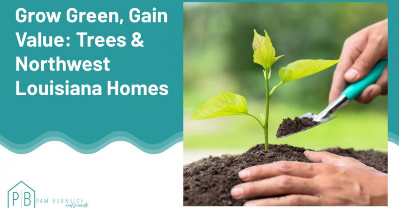 Grow Green, Gain Value: Trees & Northwest Louisiana Homes