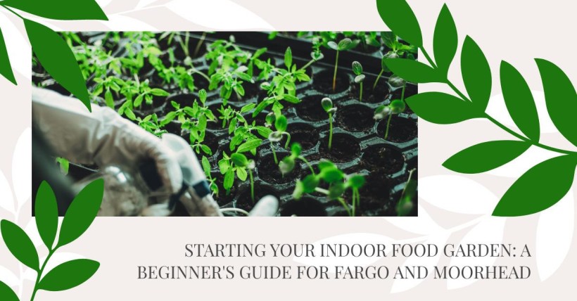 Starting Your Indoor Food Garden: A Beginner's Guide for Fargo and Moorhead