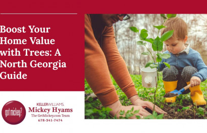 Boost Your Home Value with Trees: A North Georgia Guide