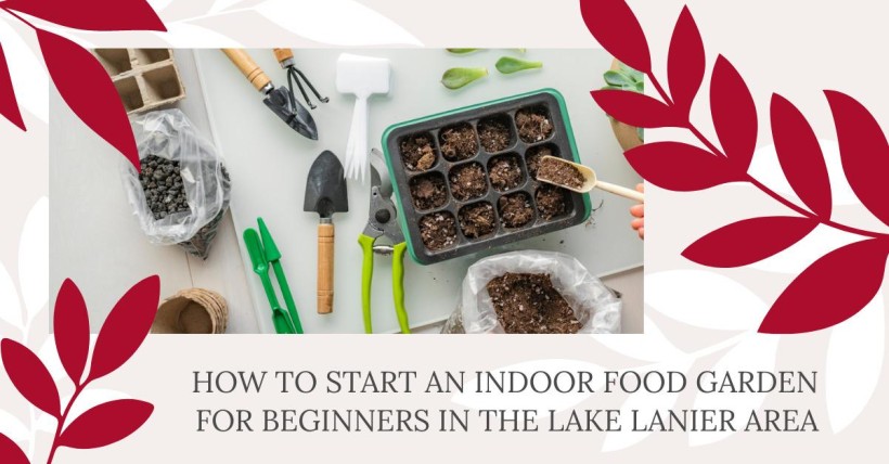 How to Start an Indoor Food Garden for Beginners in the Lake Lanier Area