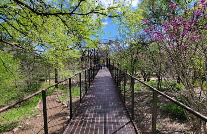 Discover Austin's Best Neighborhood Parks: Where Nature Meets Community