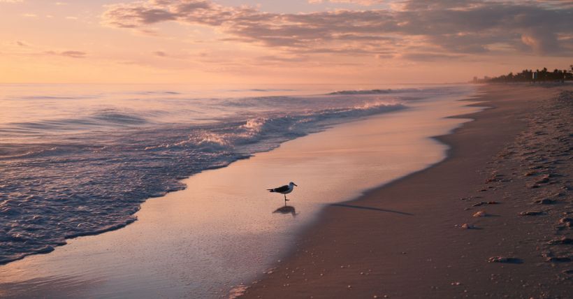 Living in Delray Beach, FL: What is the Cost of Living in Delray Beach?