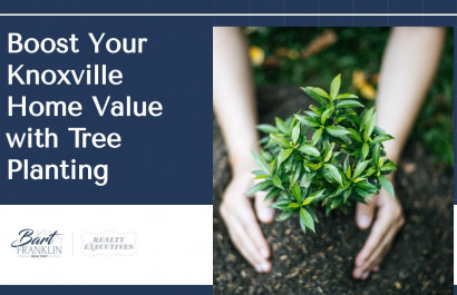 Boost Your Knoxville Home Value with Tree Planting