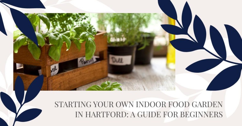 Starting Your Own Indoor Food Garden in Hartford: A Guide for Beginners