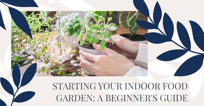 Starting Your Indoor Food Garden: A Beginner's Guide