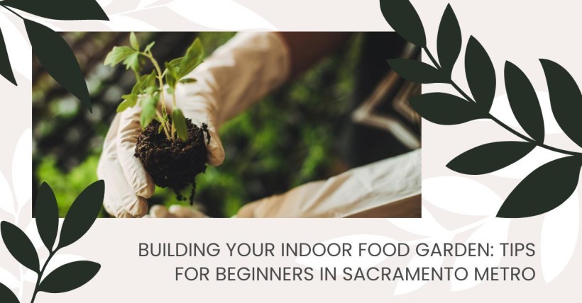 Building Your Indoor Food Garden: Tips for Beginners in Sacramento Metro