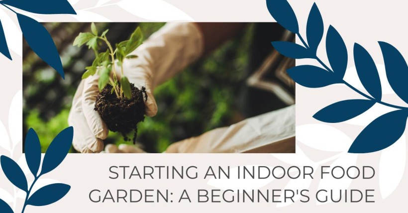 Starting an Indoor Food Garden: A Beginner's Guide