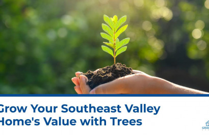 Grow Your Southeast Valley Home's Value with Trees