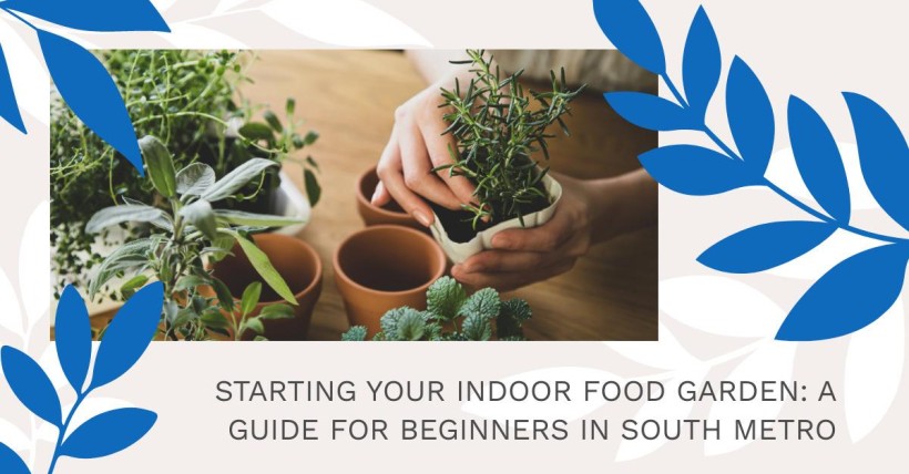 Starting Your Indoor Food Garden: A Guide for Beginners in South Metro