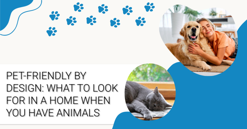 Pet-Friendly by Design: What to Look for in a Home When You Have Animals