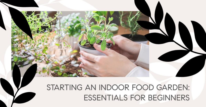 Starting an Indoor Food Garden: Essentials for Beginners