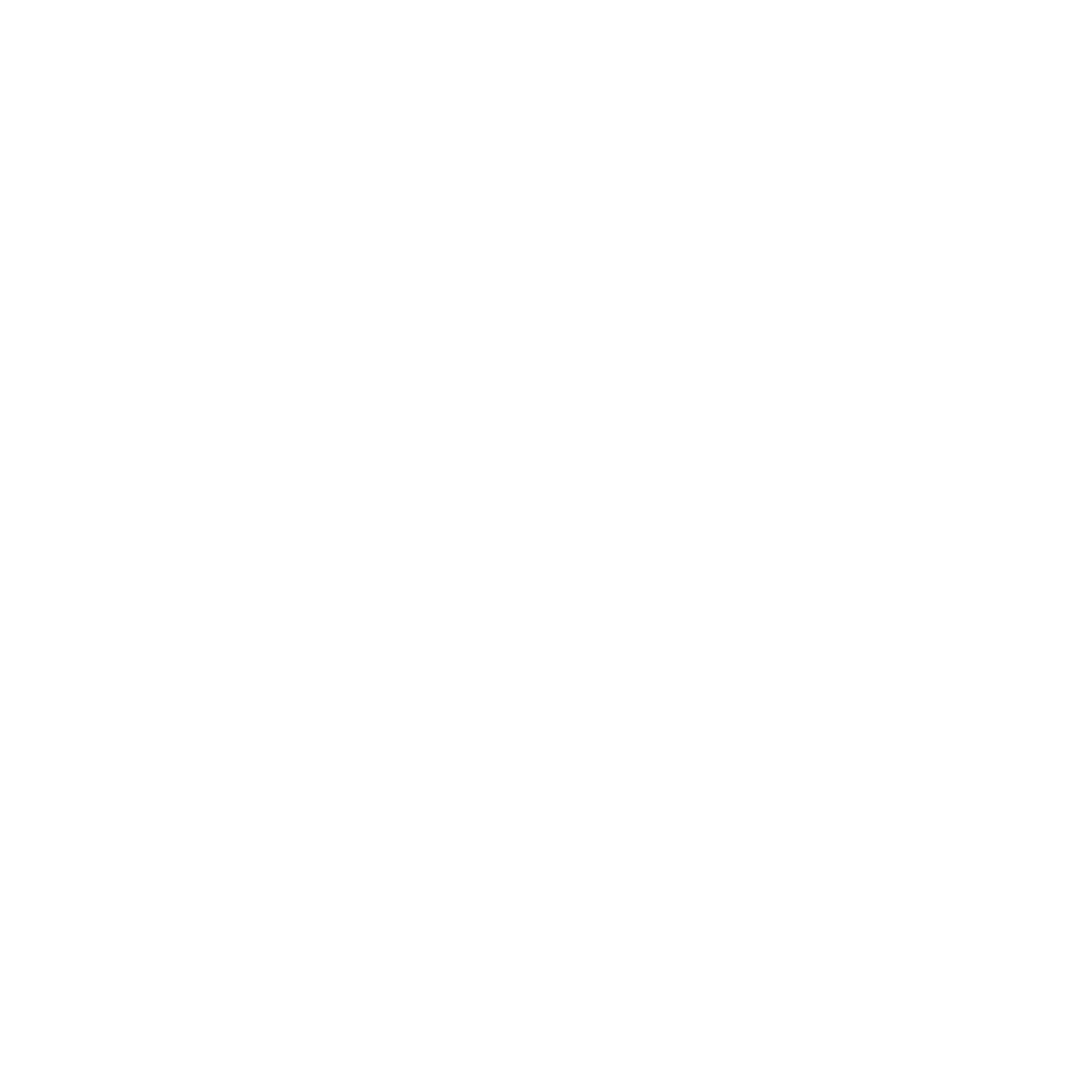 Susan Chase Group