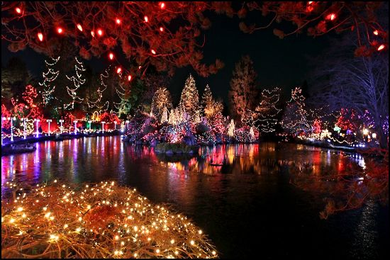 Amazing Holiday Light Displays In Southern Wisconsin